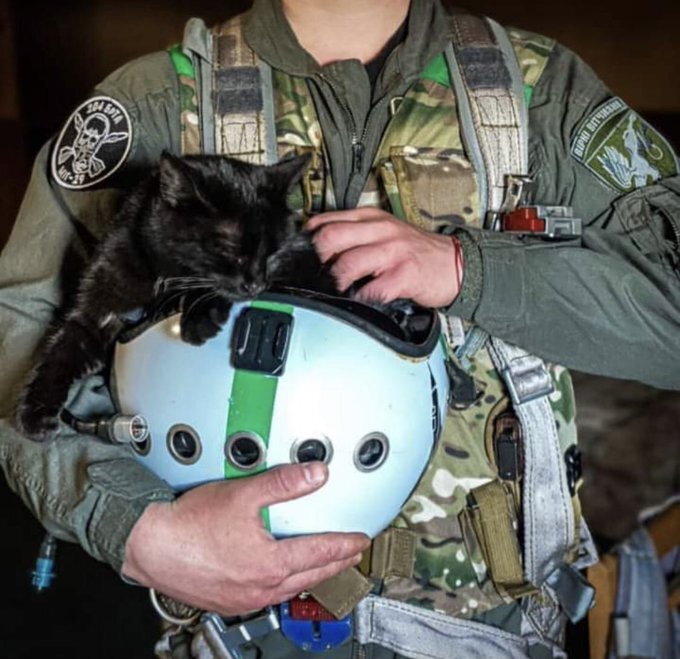 pilot with a black cat