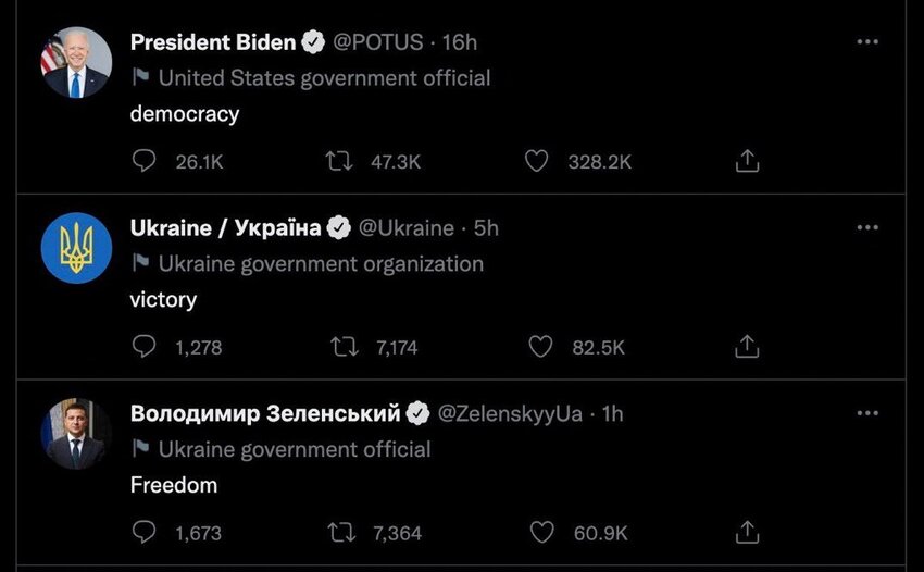 Biden: democracy Ukraine: victory Zelenskyy: freedom