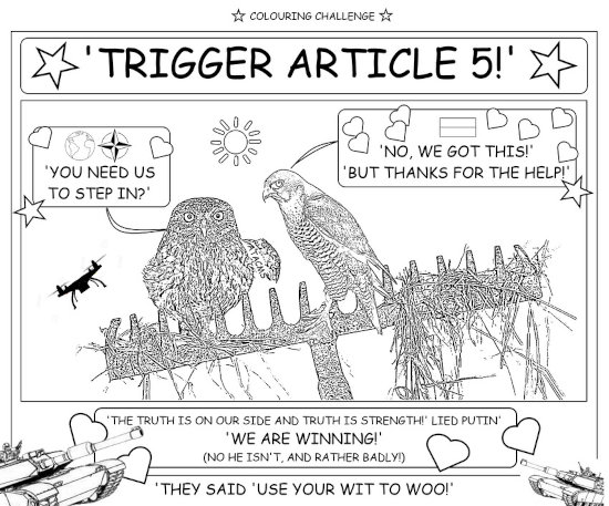 coloring book page about NATO owl: You need us to step in? Ukraine falcon: No, we got this. But thanks for the help!