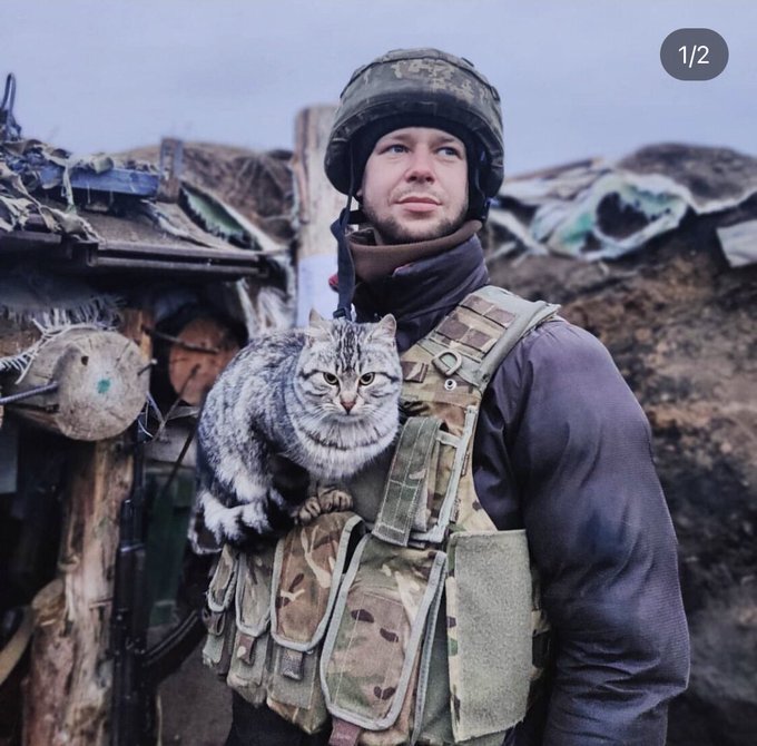 a soldier with a big tabby cat sitting on his vest