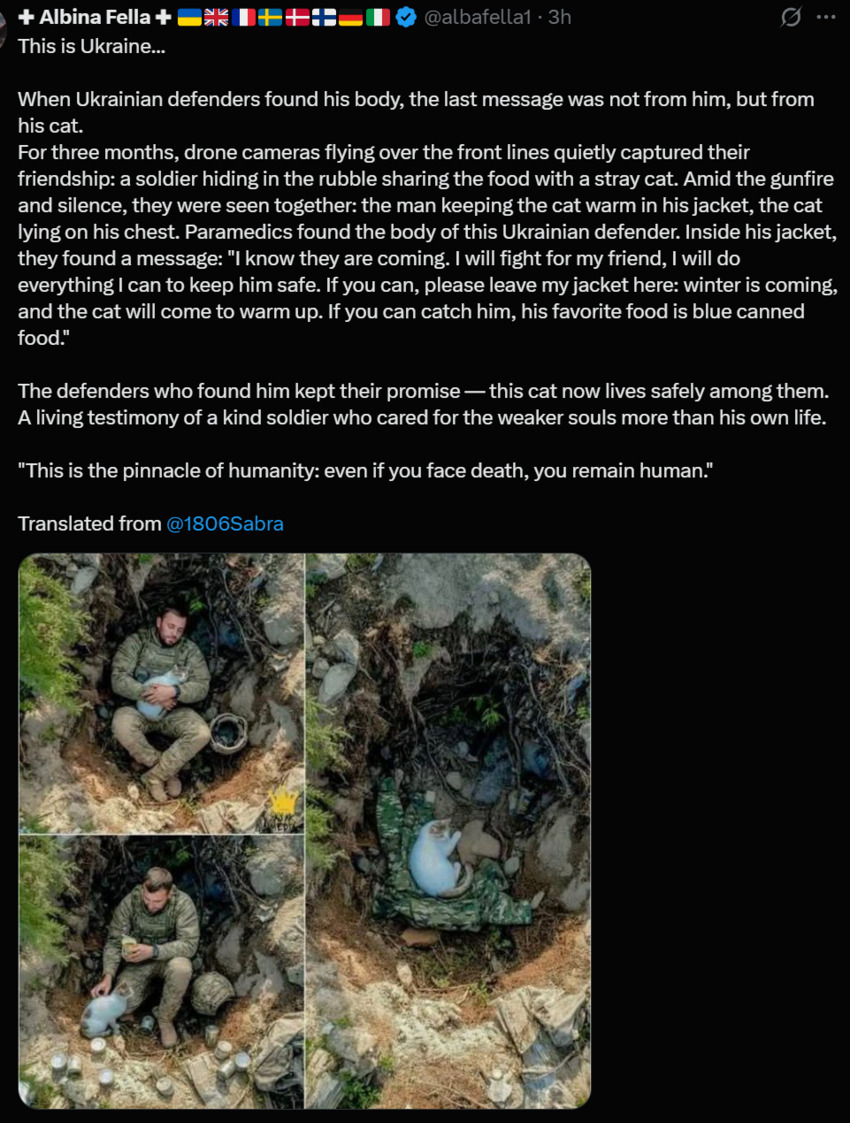 Ukrainian soldier cared for a stray cat for months, then was killed in action. His last message was about his cat.