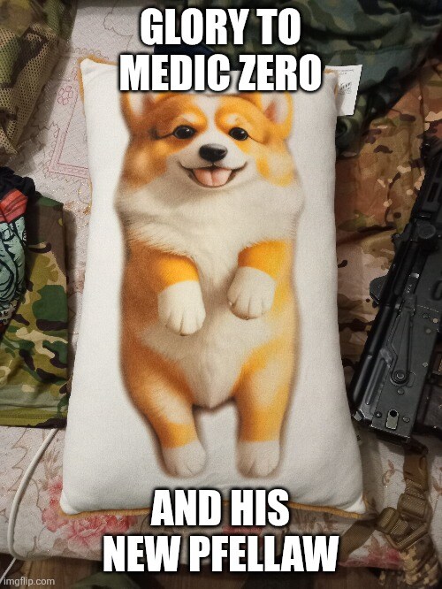 Pillow with a Shiba Inu on it, captioned 'Glory to Medic Zero and his Pfellaw.'