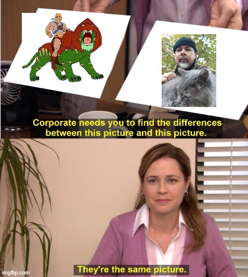 Corporate needs you to find the difference between these 2 pictures: (picture of He-Man riding Battle Cat) (picture of Medic Zero with fuzzy gray cat) They're the same picture.