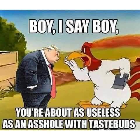 Foghorn Leghorn tells Trump, 'Boy, I say boy, you're about as useless as an asshole with taste buds.'