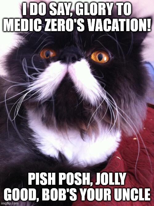 Black and white cat says 'I do say, glory to Medic Zero's vacation, pish posh, jolly good, Bob's your uncle.'