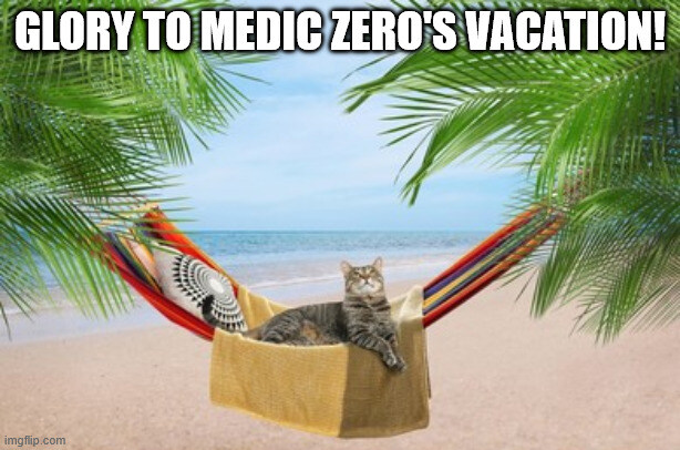 Cat in hammock captioned 'Glory to Medic Zero's vacation!'