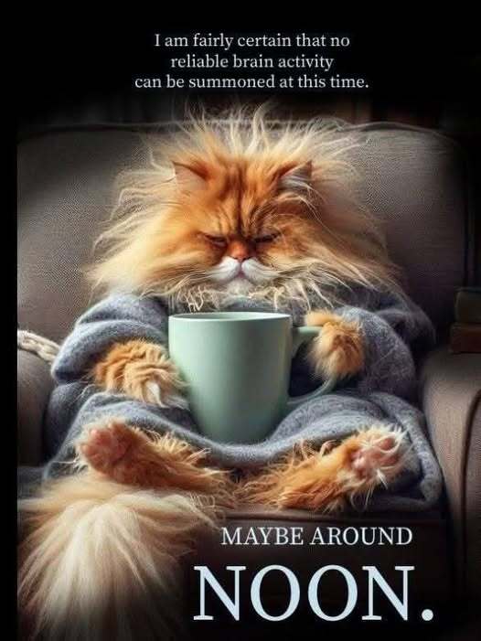Orange cat holding coffee cup, captioned 'I am fairly certain that no reliable brain activity can be summoned at this time. Maybe around noon.'
