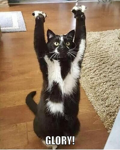 Black and white cat says, 'Glory!'