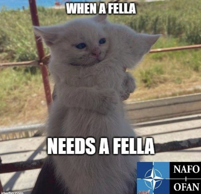 When a fella needs a fella (2 cats hugging.)