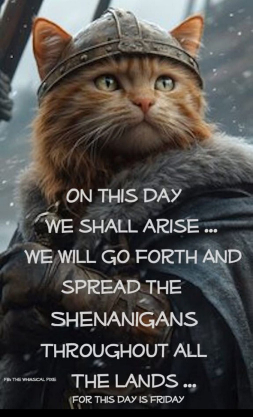 A cat with a helmet says, 'On this day we shall arise, we will go forth and spread the shenanigans throughout the lands.