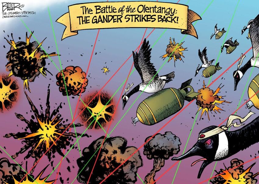 Canada geese carrying bombs.