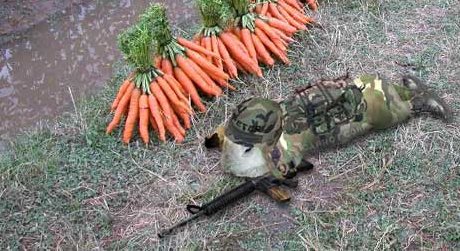 camouflage bunny sneaks through a field