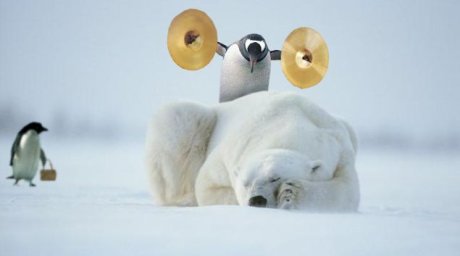 penguin about to wake up a polar bear with cymbals