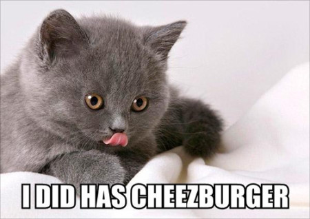 cat, licking its lips, caption 'I did has cheezburger' 