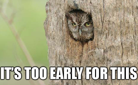 owl, caption 'it's too early for this' 